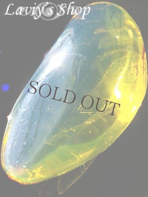 画像4: ブルーアンバールース(26,3ct.)