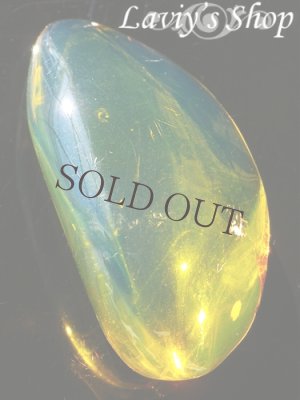 画像3: ブルーアンバールース(26,3ct.)