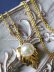 画像3: 天然色！バロックアコヤ真珠のリーフネックレス