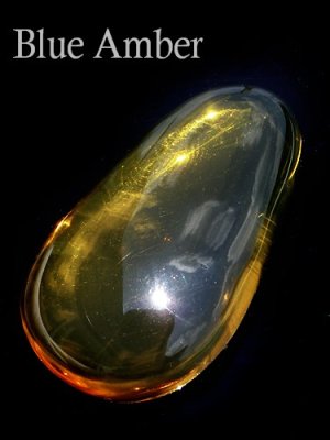 太陽光での撮影。