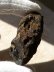 画像7: ドミニカ共和国産ブルーアンバー原石(67,2ct.)