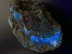 画像6: ドミニカ共和国産ブルーアンバー原石(67,2ct.)