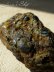 画像5: ドミニカ共和国産ブルーアンバー原石(67,2ct.)