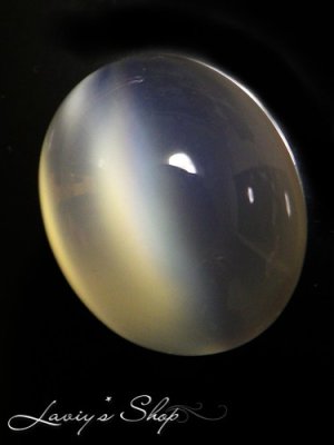 室内蛍光灯下での撮影