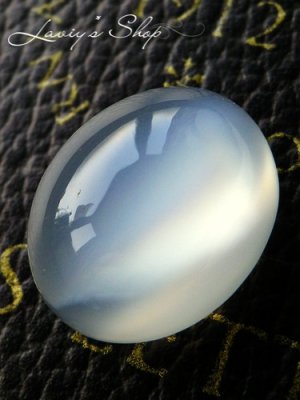 室内自然光での撮影